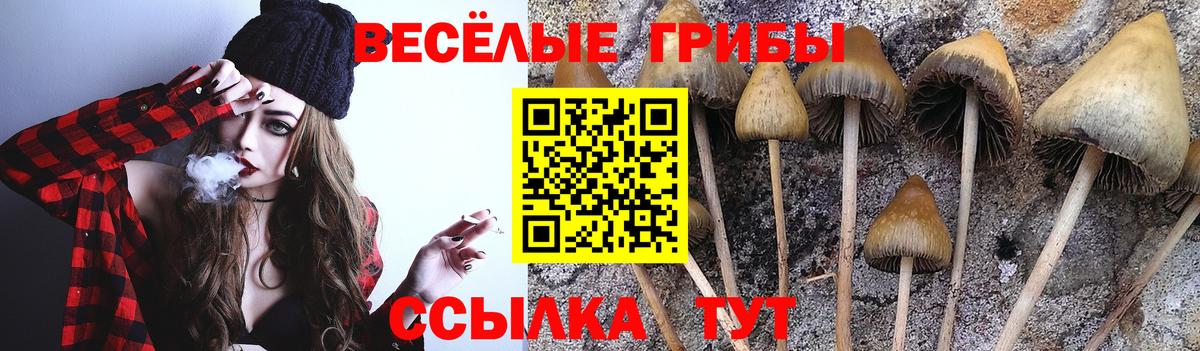 Ханты-Мансийск  Галлюциногенные грибы прущие грибы  Вход с VPN 